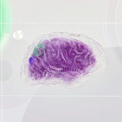 A Neurociência da Produtividade