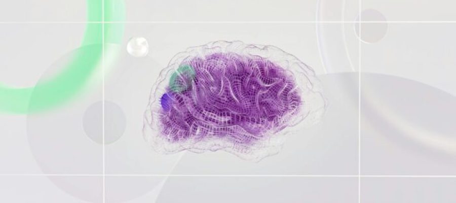 A Neurociência da Produtividade